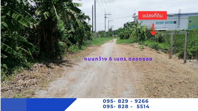 ขายที่ดิน แปลงสวย 109 ตรว. คลองหนึ่ง ซอยคลองหลวง 8/6 ใกล้ โรงงานกษาปณ์ รังสิตและ   ถนนพหลโยธิน รังสิต-นครนายก ดอนเมืองโทลล์เวย์  ต. คลองหนึ่ง อ.คลองหลวง ปทุมธานี