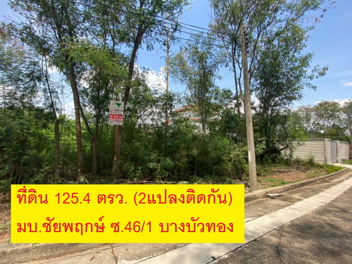 ขายที่ดินเปล่า 125.4 ตรว. (2 แปลง)  กว้าง 24 เมตร ลึก 22 เมตร ทำเลดี