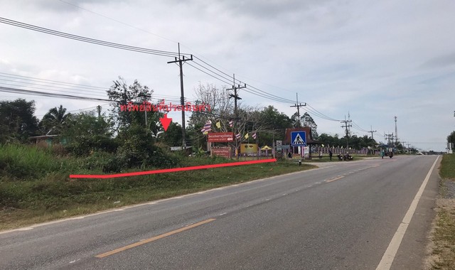 ขายที่ดินว่างเปล่าใกล้ ตลาดนัดควนนิยม อำเภอพระแสง จังหวัดสุราษฎร์ธานี PKK01-11187