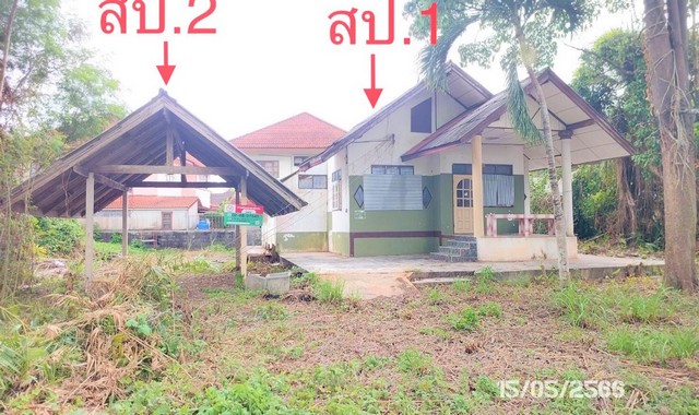 รายละเอียดเพิ่มเติม Code ID : PKK02-07845  ราคาขาย 2,561,000  บาท- ขนาดพื้นที่ :  409.00 ตร.ว. - พื้นที่ใช้สอย :   84.65 ตร.ม.- จำนวนห้อง :  2 ห้องนอน 1 ห้องน้ำ  - ที่จอดรถ :   1    คัน- บ้านหันทางทิศ : ตะวันออกเฉียงใต้  พิกัดทรัพย์ : https://maps.app.goo.gl/LgiGBSmpb8L9XH75A    สถานที่ใกล้เคียง- ใกล้โรงพยาบาลศรีวิชัย  - ใกล้ เซ็นทรัล สุราษฎร์ธานี - ใกล้โลตัส โกเฟรช ตลาดพ่อขุนทะเล- ใกล้ แก้วมินิมาร์ท โลตัส สุราษฎร์ธานีสอบถามเพิ่มเติม/นัดชมโ