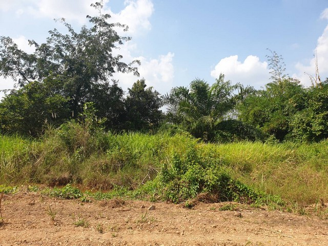 ขายที่ดิน 1ไร่  วาละ 7,000  คลองสอง(ซอยสะพานเอราวัณ8) ถนนคลองหลวง เลียบคลอง 2 ตำบลคลองสอง อำเภอคลองหลวง_______________________________________– รายละเอียดขายที่ดิน คลองสอง(ซอยสะพานเอราวัณ8) ถนนคลองหลวง เลียบคลอง 2 ตำบลคลองสอง อำเภอคลองหลวง จังหวัดปทุมธานีติดต่อ แตง  โทร.0625981843  0888 95 6161  ไลน์ : infiniteplusสิ่งอำนวยความสะดวกสถานที่ใกล้เคียงใกล้ตลาดรายละเอียดเพิ่มเติมขายที่ดิน คลองสอง 1 ไร่ ปทุมธานี(ซอยเอ