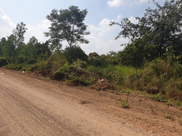 ที่ดิน - 0 ตรว. 0 Ngan 1 ไร่  ใกล้ ใกล้ถนนวงแหวนรอบนอกกรุงเทพ เขตอุตสาหกรรมนวนคร,  ม.ธรรมศาสตร์, ม.กรุงเทพ, แมคโครคลองหลวง, ตลาดไท เทศบาลท่าโขลง  ที่ว่าการอำเภอ กรมที่ดิน, สำนักงานที่ดิน จังหวัดปทุมธานี, ตลาดไท,  วัดพระธรรมกาย สภาพแวดล้อมดี ใกล้วัดธรรมกาย