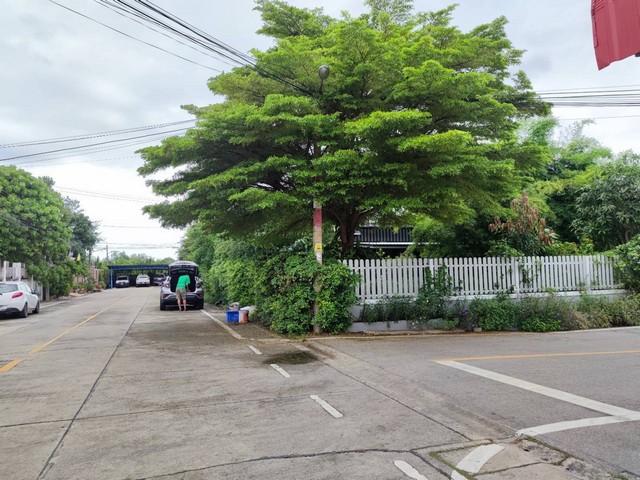 ขายที่ดินพร้อมบ้าน 120 ตรว. หมู่บ้านท่าจีน ซ.ท่าจีน22  ท่าจีน- ท่าฉลอม   ZW290