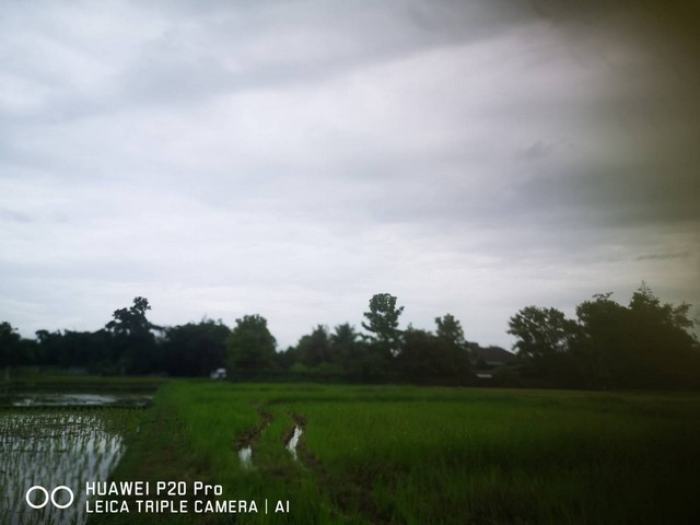 ขายที่ดินเริ่ม 1งาน 300,000บ. ผ่อนได้ ถมดิน ถนน น้ำ ไฟฟ้า ต.จอมหมอกแก้ว อ.แม่ลาว เชียงราย