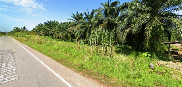 พื้นที่ดิน ตำแหน่งที่ดิน มีน้ำประปา และไฟฟ้า เข้าถึง ทำเลดี น่าลงทุน ใกล้แหล่งชุมชนมากมาย ใกล้ที่ว่าการอำเภอบ้านตาขุน (ที่ดินน่าลงทุน) 25 ไร่ 1 Ngan 81 ตาราง-วา  ใกล้กับ ตำแหน่งที่ดิน มีน้ำประปา และไฟฟ้า เข้าถึง ทำเลดี น่าลงทุน ใกล้แหล่งชุมชนมากมาย ใกล้ที่ว่าการอำเภอบ้านตาขุน (ที่ดินน่าลงทุน) ราคาเดียว