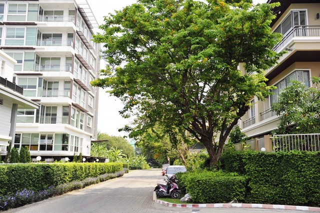 คอนโดมิเนียม สลิลธารา 14135 ตรม 2ห้องนอน 14500000 บ. ใกล้กับ รถไฟฟ้า BTS สุรศักดิ์ ทำเลเด่น ทำเลดีมาก ใกล้แหล่งอำนวยความสะดวก อาทิ เทสโก้โลตัสพระราม 3 เดอะมอลล์ท่าพระ บิ๊กซีราษฎร์บูรณะ และโรงพยาบาลเจริญกรุงประชารักษ์ เซ็นทรัลเวิลด์ เซ็นทรัลพลาซา พระราม 3  การเดินทางสะดวกใกล้ BTS สุรศักดิ์ และทางด่วนพระราม 3 การเดินทางบนถนนพระราม 3 บริเวณหน้าวัดป