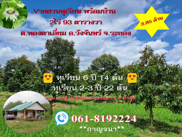 V่ายบ้านสวนทุเรียนติดถนนคอนกรีต 2 ไร่เขตพลงตาเอี่ยม จ.ระยอง