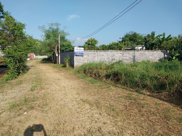 ขายที่ดินถมแล้ว 250 ตรว. ที่ตั้ง : ต.ทับกวาง อ.แก่งคอย จ.สระบุรี