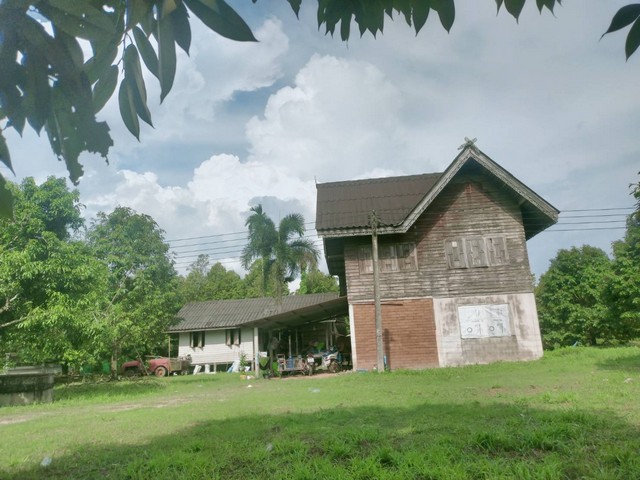 ขายสวนทุเรียนสวยให้ผลผลิตเต้มที่พร้อมบ้านพัก2หลังเขตห้วยยาง อ.แกลง ระยอง