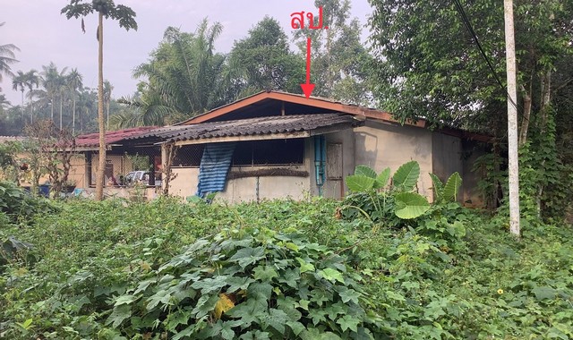 ขายบ้านเดี่ยวใกล้ โลตัลเวียงสระ อำเภอเวียงสระ จังหวัดสุราษฎร์ธานี PKK02-13576