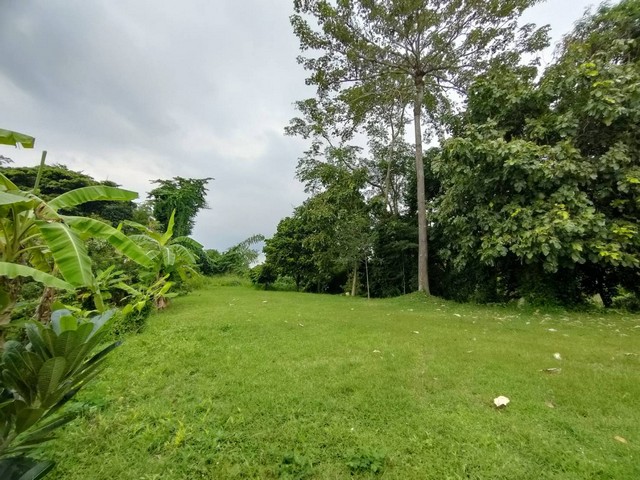 ที่ดินสวย ติดแม่น้ำเพชรบุรี รูปแปลงสี่เหลี่ยมผืนผ้า เนื้อที่ 16-1-9.9 ไร่ ใกล้อุทยานแห่งชาติแก่งกระจาน