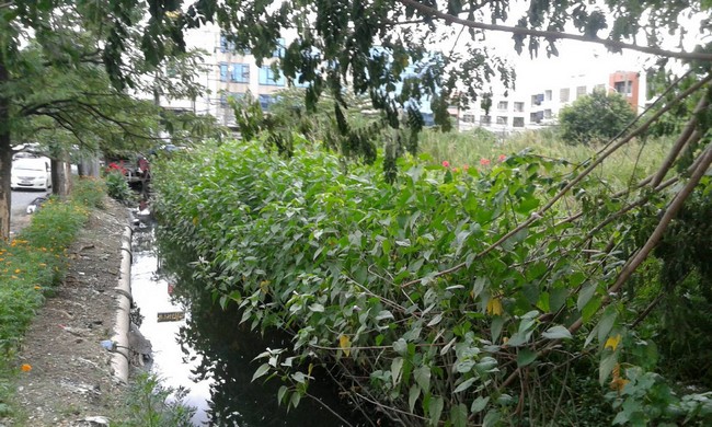 sss157 ขาย ที่ดิน รามคำแหง 138 ติดถนนใหญ่ - จำนวน 16-2-54 ไร่ - กว้าง 56 เมตร ลึก 500 เมตร- ติดถนนใหญ่ รามคำแหง ก่อนเลี้ยวเข้ามอเตอร์เวอย์ไปสนามบินสุวรรณภูมิ - ราคาสุทธิ ตรว.ล 95,000฿ - ค่าโอนคนละครึ่ง ภาษีคนขายจ่าย - โฉนดลอย -ใกล้สถานีBtsน้อมเกล้าเพื่อเป็นการรวดเร็วในการตรวจสอบ รบกวนคุณลูกค้า copy linkประกาศหรือขอรหัสประกาศส่งมาด้วยค่ะ**ติดต่อสอบถาม คุณทรายCALL: 092 798 8789Line: @956uovqphttps://lin.ee/kKvaDQv  ให้บริกา