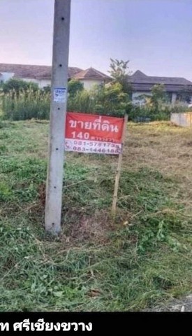 ขายที่ดิน​ 140​ ตรว.​ ถ​มแล้ว​ ต.สัน​พระ​เนตร​ อ.​สันทราย​ จ.เชียงใหม่