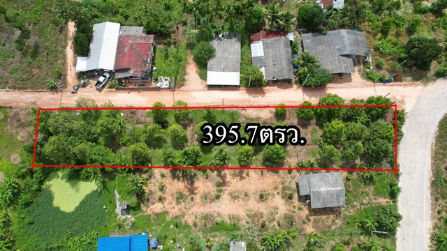 ขายสวนทุเรียนแปลงเล็กพร้อมให้ผลผลิตมาแล้วจร้าราคา 1.89 ล้านเท่านั้น วังหว้า จ.ระยอง