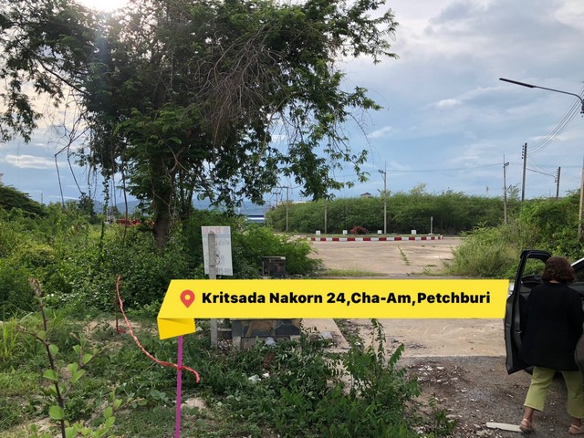 ที่ดินชะอำ 151 ตรว. ถูกที่สุดในโครงการที่ดินจัดสรรหน้ากว้าง ถนนกว้าง