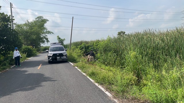 ที่ดินวังน้อยอยุธยา 64ตรว. ไม่ถึงสามแสน ที่ดินใกล้แฟคตอรี่แลนด์วังน้อย