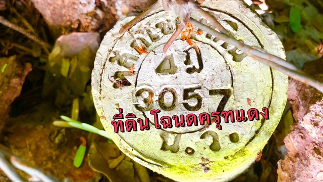 ที่ดินตากฟ้า 3-0-33ไร่ ที่ดินนครสวรรค์ แปลงสวยหน้ากว้าง40เมตร