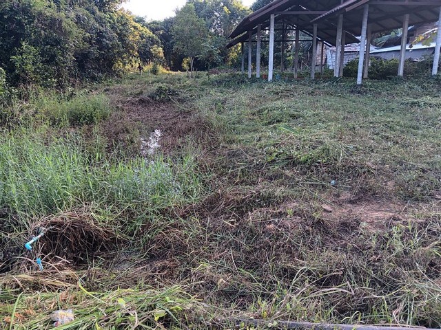 ขายด่วน ที่ดินพร้อมโครงสร้างบ้าน ต.โนนนาจาน อ.นาคู จ. กาฬสินธุ์