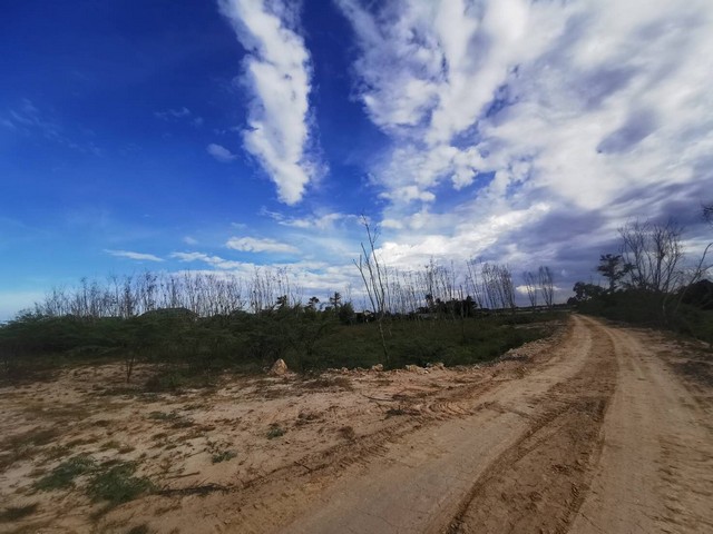 ขายที่ดิน แปลงใหญ่ 11-2-68.60 ไร่  สวย ทำแลดี ด้านข้างศูนย์การแพทย์มหาวิทยาลัยวลัยลักษณ์  เข้าออกได้หลายทาง   ZST172