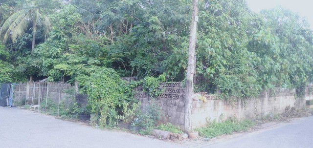 ที่ดินแปลงเล็ก 105 ตารางวา ตัวเมืองสุราษฎร์ ในแหล่งชุมชน มีสาธารณูปโภค พร้อม    ZST170