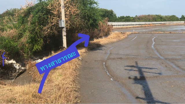 ที่ดินลพบุรี 2-2-64ไร่ เป็นที่นา ใกล้ถนนใหญ่ 50 เมตร