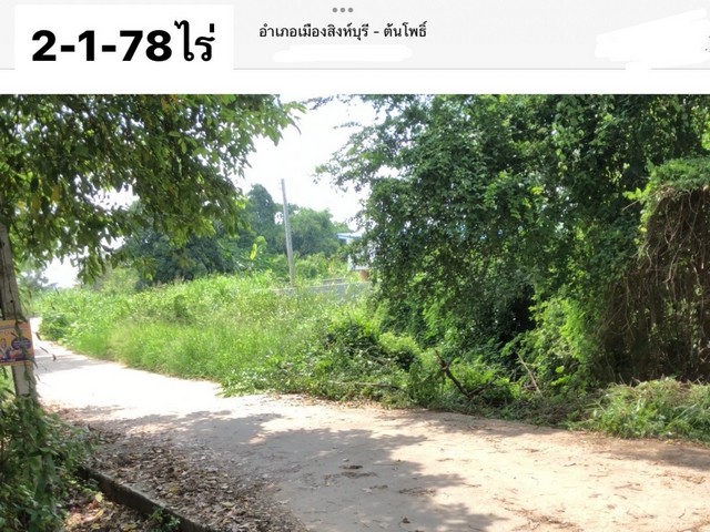 ที่ดินต้นโพธิ์ตัวเมืองสิงห์บุรี 2ไร่กว่าขายต่ำกว่าราคาประเมินเนื้อที่ : *2-1-78ไร่ (978ตารางวา) หน้ากว้าง 34x120 เมตร โดยประมาณผังเมืองสีเหลืองที่ดินโฉนดครุฑแดงแหล่งชุมชน ใกล้หน่วยงานราชการที่ตั้ง : ถนน309 ตำบล ต้นโพธิ์ อำเภอเมืองสิงห์บุรี สิงห์บุรีhttps://maps.app.goo.gl/ASfju8kDSvxQ2F7TA?g_st=ic14.88069138,100.40192838เสนอราคา**2,500,000.- บาท  (สองล้านห้าแสนบาทถ้วน)ฟรีโอน( ประเมินราชการเกือบ3ล้าน : 2,982,900.-)ติดต่อ : พาขวัญ  พ