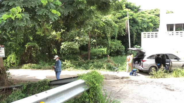 ที่ดินต้นโพธิ์ตัวเมืองสิงห์บุรี 2ไร่กว่า ขายต่ำกว่าราคาประเมิน