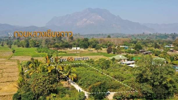โซนเชียงดาว ขายที่ดิน 2.25 ล้าน 1 ไร่ 1 งาน 65.1 ตรว. วิวดอยหลวงเชียงดาว สวยมากๆ ติดถนนคอนกรีต ใกล้ทางหลวงหมายเลข 107 เพียง 350 ม.