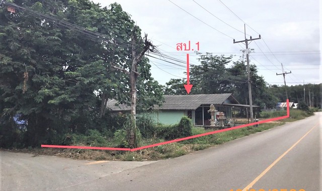 รายละเอียดเพิ่มเติม Code ID : PKK02-12980  ราคาขาย  2,396,000  บาท- ขนาดพื้นที่ :   343.00 ตร.ว.- พื้นที่ใช้สอย :  172.00 ตร.ม. - จำนวนห้อง :  2 ห้องนอน 2 ห้องน้ำ  - ที่จอดรถ :    1   คัน- บ้านหันทางทิศ : -พิกัดทรัพย์ : https://maps.app.goo.gl/NJsDfxei625cycHE8    สถานที่ใกล้เคียง- ใกล้ตลาดช้าง - ใกล้โรงพยาบาลท่าโรงช้าง - ใกล้ท็อปส์ เดลี่ สาขา คาลเท็กซ์ ท่าโรงช้าง กม18 สุราษฎร์ฯ - ใกล้โลตัสเอ๊กซ์เพรส หนองขรี สุราษฏ์ธานี สอบถามเพิ่มเติม/นัดชมโท