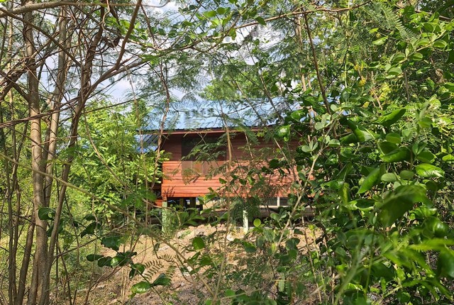 รายละเอียดเพิ่มเติมCode ID : PKK02-14304ราคาขาย      2,301,000 บาท- ขนาดพื้นที่ :  1,096 ตร.ว (2 ไร่ / 2 งาน / 96 ตร.ว)  - พื้นที่ใช้สอย :  42.60 ตร.ม- จำนวนห้อง :  1 ห้องนอน 1 ห้องน้ำ- จอดรถ :    1-2 คัน- บ้านไม้ยกพื้นสูง   :  1 ชั้น- บ้านไม้ยกพื้นสูงหันทางทิศ :- อายุอาคาร :   8 ปีพิกัดทรัพย์ :    https://maps.app.goo.gl/bXUNy2F8kgXqomFF7สถานที่ใกล้เคียง- ใกล้บิ๊กซี มาร์เก็ต โนนสูง- ใกล้ซีเจ มอร์ สาขาตลาดโนนสูง   - ใกล้โลตัส โกเฟรช โนนสูง นครราชสีมา- ใกล้โล