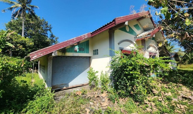 ขายบ้านเดี่ยว  อำเภอชุมพลบุรี  สุรินทร์ (PKK02-13125)