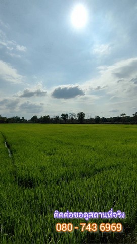 ขายบ้านพักตากอากาศ พร้อม สิ่งปลูกสร้าง และ ไร่นาสวนผสม ตำบลเกิ้ง อำเภอเมืองมหาสารคามเนื้อที่ 15 ไร่ 2 งาน 38 ตรว. ขายยกแปลง  ในที่ดินมี   1. บ้าน 1 หลัง   2. ศาลาริมน้ำขนาด  8×18 เมตร 1 หลัง จุคนได้ประมาณ 80 คน  3. มีบ่อปลา 2 บ่อปัจจุบันจัดฟิชชิ่ง  4. ทำนาได้ปีละ 3 ครั้งโดยมีชลประทานระบบท่อเป็นส่วนตัว  5. มีต้นผักหวานป่าประมาณ 500 ต้น + (สามารถเก็บยอดขายได้แล้ว)  6. มีละมุดพันธุ์สาลี (เวีย