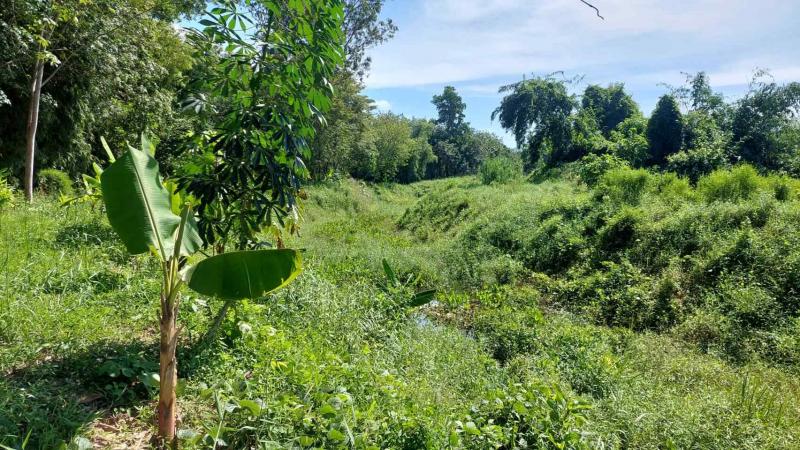 ขายที่ดิน สวนยางพารา โฉนดเลขที่ 38872 จำนวน 4ไร่ 3งาน 84 ตารางวา