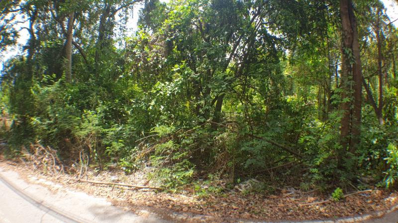 พื้นที่ดิน ที่ดินสะพานพระราม5  22000000 THAI BAHT   คุยถูกคอมีราคาพิเศษ