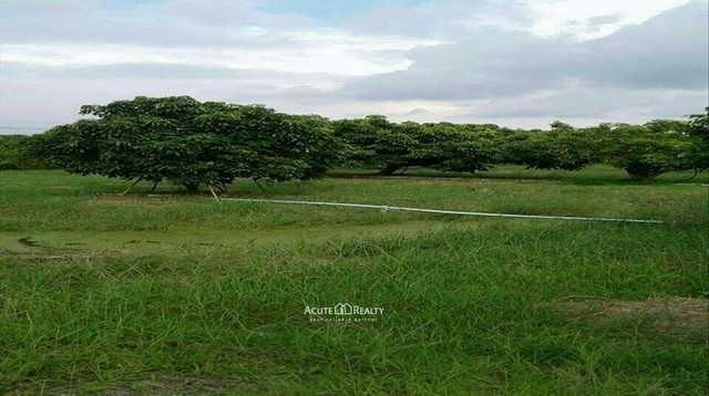 ขายที่ดิน อ.เมืองลำพูน ขนาดที่ดิน 2-1-92.6 ไร่ หน้ากว้าง 33.78 ม.