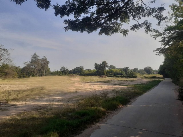 ขายที่ดินสวย  3-3-22  ไร่ ติดถนนสองด้าน  ต.บ้านโพธิ์ อ.เมือง จ.นครราชสีมา   ZE562