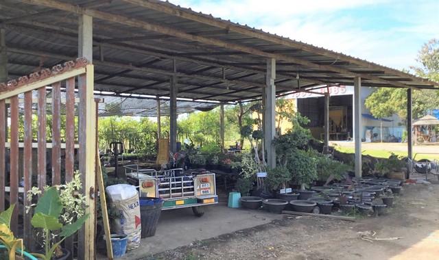 ขายบ้านเดี่ยว   อำเภอเมืองหนองคาย  หนองคาย (PKK02-12695)