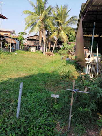 ขายที่ดิน ตำบลอากาศ อำเภออากาศอำนวย จังหวัดสกลนคร (เจ้าของขายเอง)