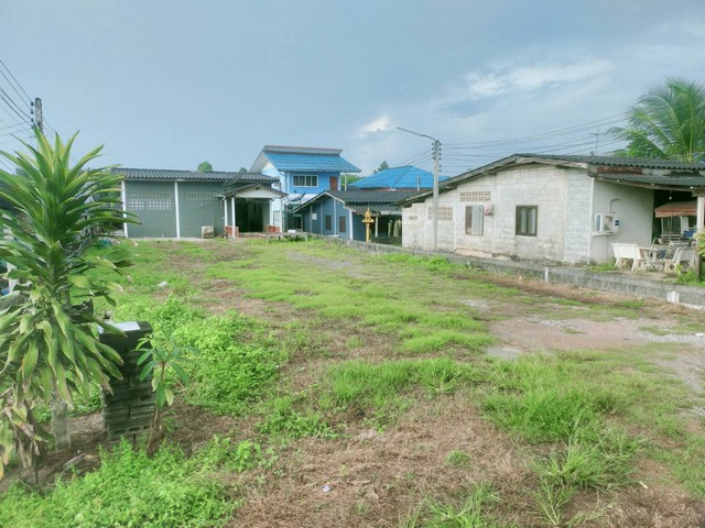  ด่วนๆ ขายที่ดินพร้อมบ้านติดสุขุมวิท 112 ตรว.เขตห้วยยาง อ.แกลง จ.ระยอง