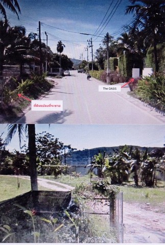 ขายด่วน ที่ดินซอยเกาะแก้ว 33 ตำบลเกาะแก้ว อำเภอเมือง จังหวัดภูเก็ต