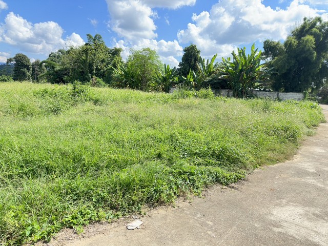 ขายที่ดินเนื้อที่ 91 ตารางวา บ้านสบห้วย หมู่ 1 ตำบลจอมหมอกแก้ว อำเภอเมือง จังหวัดเชียงราย