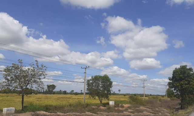 ขายที่ดินสวย 8-2-57 ไร่  ติดถนนมิตรภาพ ใกล้ปราสาทหินพิมาย  จ.นครราชสีมา ZE559