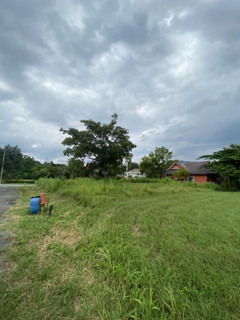 ขายที่ดิน 156 ตร.ว ในสนามกอล์ฟ Sir jame resort  Forest Hillเดิม