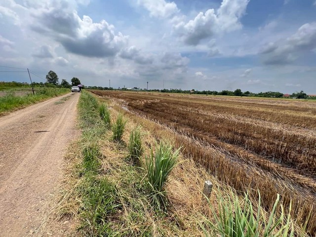 ที่ดินคลอง5 คลองหลวง ปทุมธานี ใกล้ปั๊ม ปตท. Vายด่วนมี 3 ล็อกๆ ละ 381 ตารางวา