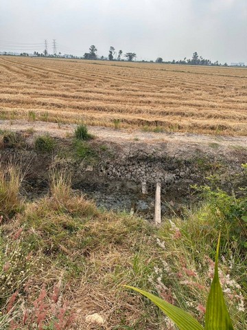 ขายที่ดินติดถนนสี่เลนบางประกง ฉะเชิงเทรา พื้นที่สีส้ม 144 ไร่