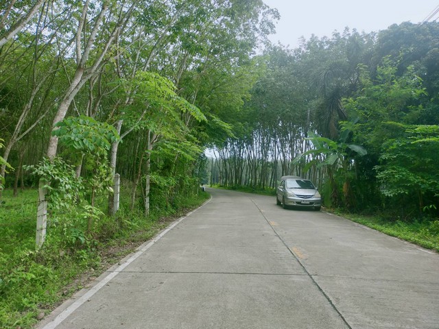 ขายที่ดินสวนยางใกล้แยกทับมา เหมาะทำบ้านจัดสรร 9 ไร่ไร่ละ 2.8 ล้าน