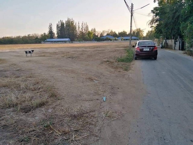 ขายที่ดิน สันกำแพงสายใหม่ เหมาะทำโครงการบ้านจัดสรร เชียงใหม่