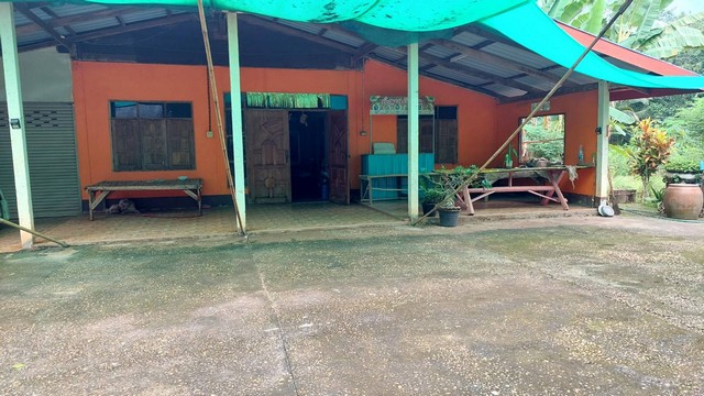 ขายที่ดินสวนยางและที่นา พร้อมสิ่งปลูกสร้าง 16-3-80 ไร่  บ้านปักหมู อ.โพนพิสัย จ.หนองคาย  ZP071