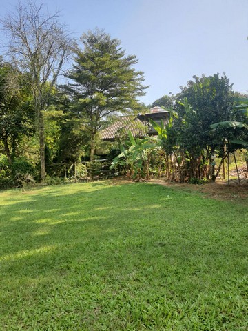 ขายที่ดินใกล้บ่อน้ำร้อนฝาง (อุทยานแห่งชาติดอยผ้าห่มปก) อ.ฝาง จ.เชียงใหม่ เป็นที่โฉนดขนาด 8 ไร่ ด้านหนึ่งติดลำธาร อีกด้านติดถนน บริเวณมีรั้วรอบขอบชิด ด้านในมีพร้อมทุกอย่าง ทั้งบ่อปลา แปลงผัก ผลไม้นานาชนิด ส่วนใหญ่มีอายุมากกว่า 30 ปี มีต้นสะตอสูงขนาดต้องใช้ลิงปีน มีกาแฟ โกโก้พร้อมเก็บเกี่ยว โรงเรือนกล้วยไม้ หรือแม้กระทั่งสนามกอล์ฟเล็กๆ แถมมีบ้าน ให้ด้วย 