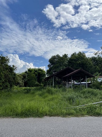 ขายด่วน ที่ดินพร้อมโครงสร้างบ้าน1 หลัง เนื้อที่ 1ไร่ 50 ตารางวาต.โนนนาจาน อ.นาคู จ. กาฬสินธุ์ขายที่ดินพร้อมบ้านรวมทั้งหมดในราคาเพียง 450,000 บาทที่ดินติดถนนตั้งอยู่ในชุมชน พร้อมโครงสร้างบ้านอีกหนึ่งหลัง การเดินทางสัญจรสะดวกสบาย ที่ดินอยู่ติดถนนสามารถประกอบกิจการค้าขายได้* ห่างจากโรงพยาบาลนาคู 7.6 กิโลเมตร* ห่างจากโรงเรียนบ้านนาคู 5.6 กิโลเมตร* ห่างจากตลาดสดเทศ